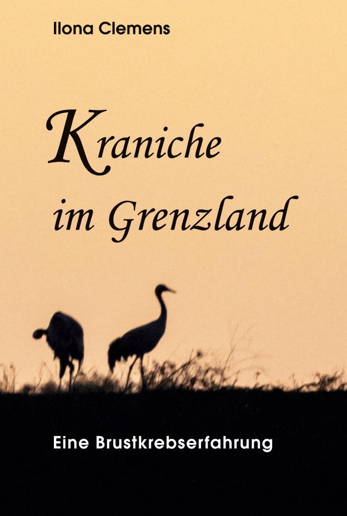 Kraniche im Grenzland