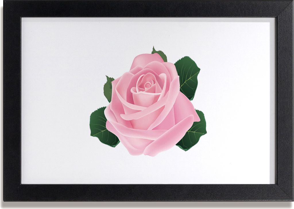 Bild 30x20 MDF-Rahmen Wandkunst Rose Blume Pflanze Natur