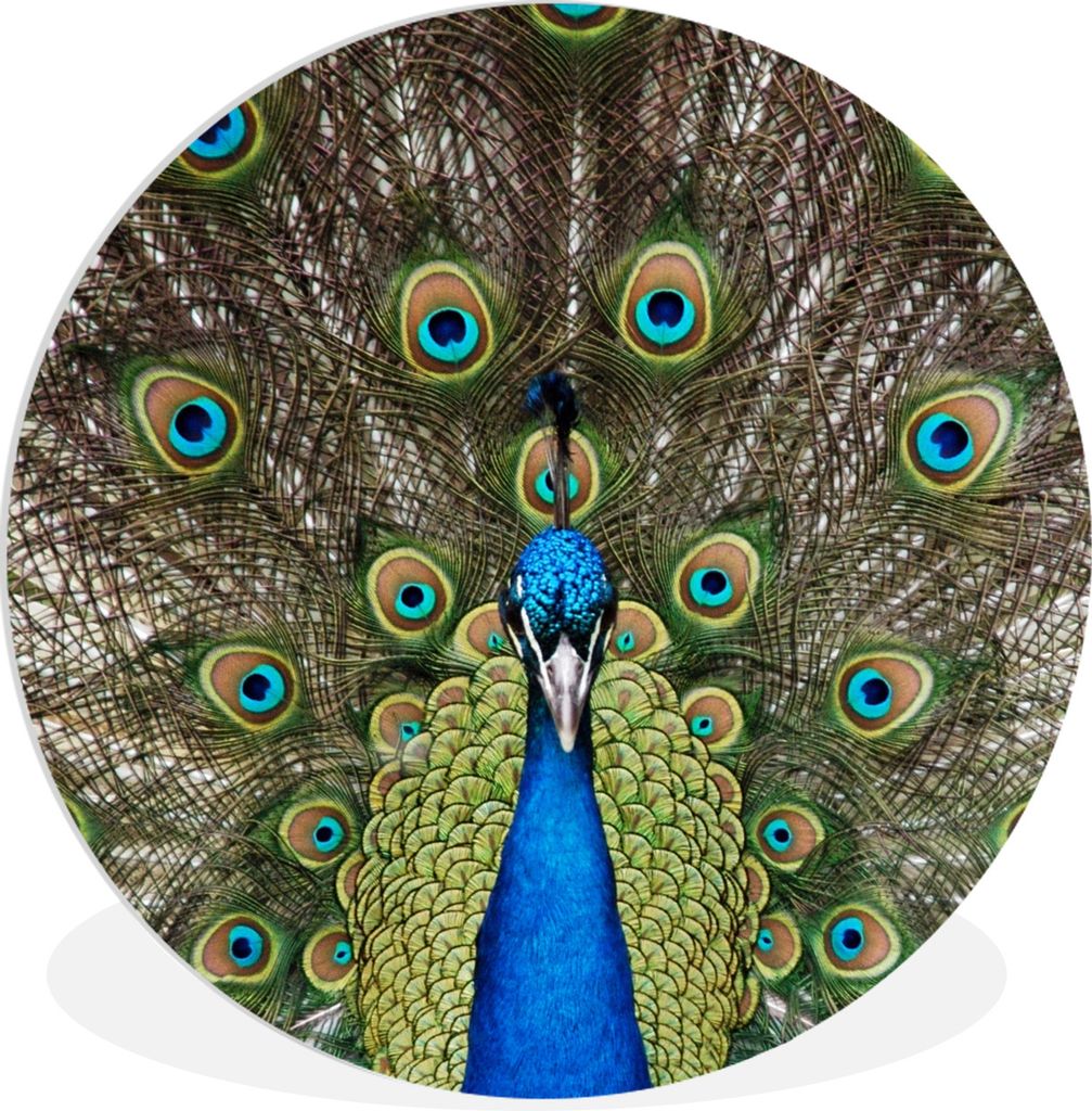 MuchoWow Rundes Wandbild - Runde Bilder Pfau - Farben - Federn Ø 90 cm Kreis Wanddekoration Kunststoff - Wandkreis - Wandschmuck - Wand-Kreis - ...