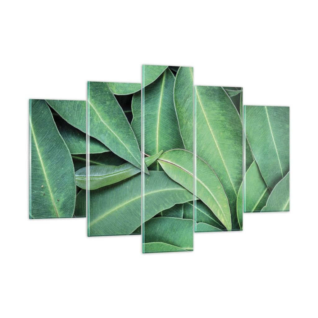 Bilder auf glas - 5 Teile - Blätter Eukalyptus Natur - 150x100cm - Glasbilder - Wandbilder - Bilder - zum Aufhängen bereit - Wanddekoration aus G...