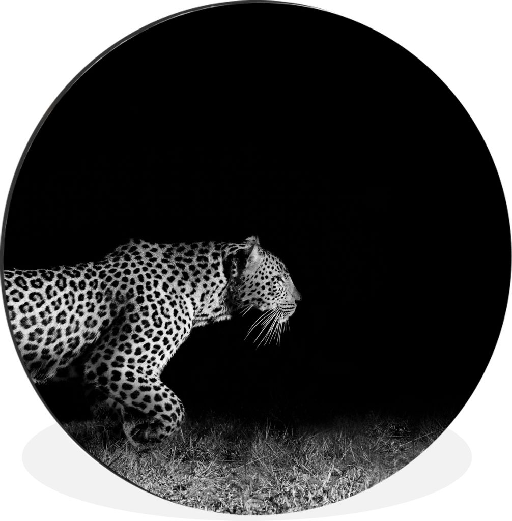 MuchoWow Aluminium Wandkreis Wildtiere - Leopard - Gras - Schwarz - Weiß Ø 30 cm Wanddeko Modern Wohnzimmer - Wand Bild - Wohnzimmer - Runde Bi...