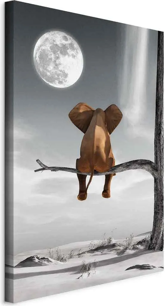 Quadro Elefante e Luna 40x60 cm - Telaio in Legno - Decorazione Casa