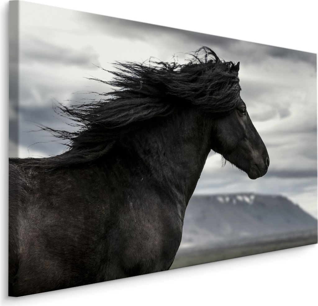 Fabelhafte Canvas LEINWAND BILDER 40x30 cm XXL Kunstdruck Tiere Pferd Mustang Berge