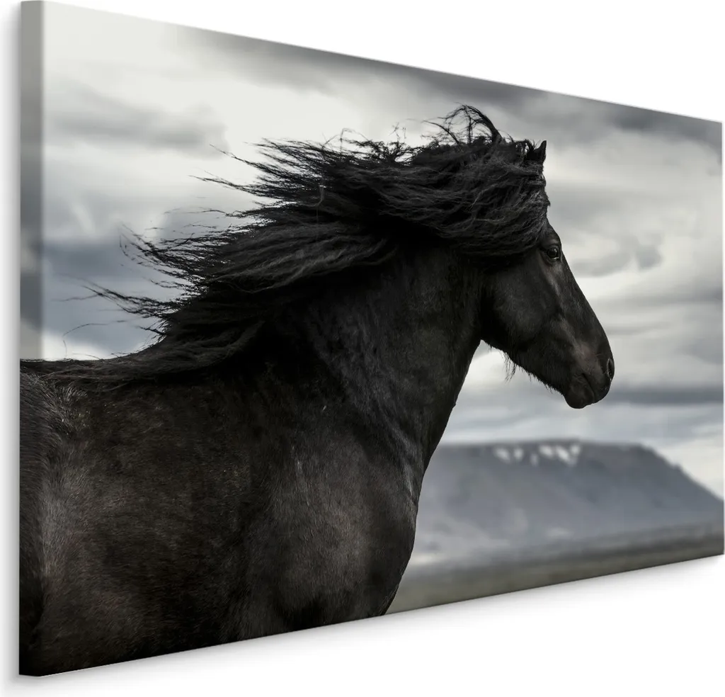 Poster su Tela Cavalli Selvaggi 90x60 - Stampa Mustang Montagne XXL