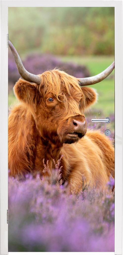 MuchoWow Türtapete Selbstklebende Türfolie Schottischer Highlander - Braun - Büsche 80x205 cm Türposter Türaufkleber Klebefolie Türklebefol...