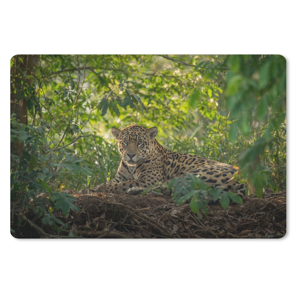 MuchoWow Mauspad Mousepad Jaguar im Dschungel 27x18 cm - Mousepads - Maus Mat - Pad - Mausunterlage - Büroartikel - Desk Matten
