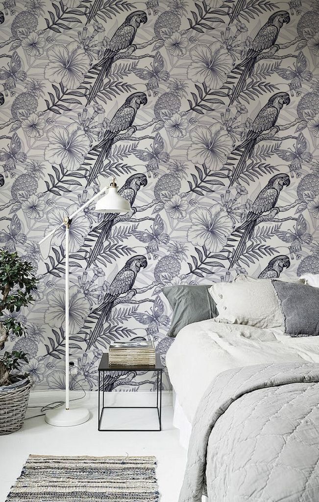 Coloray Fototapete 312x219 cm Vlies-Fototapete - Papageien