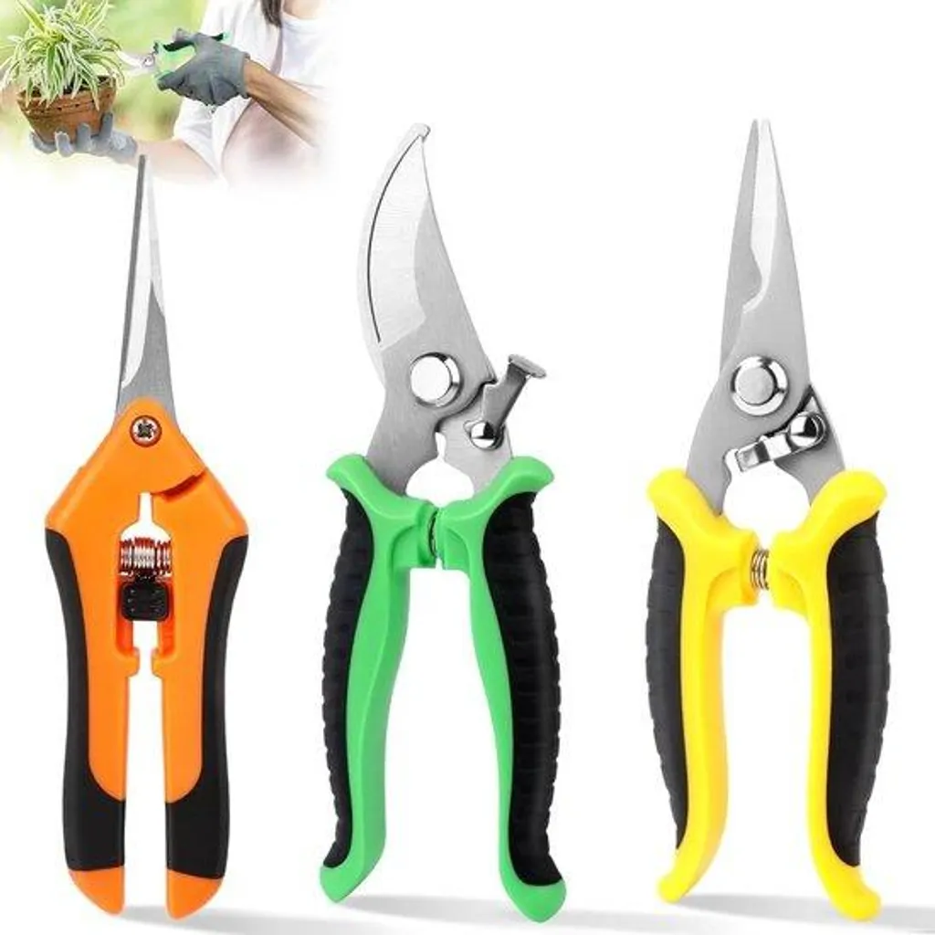 Sécateur en acier inoxydable pour taille des arbres fruitiers 21cm