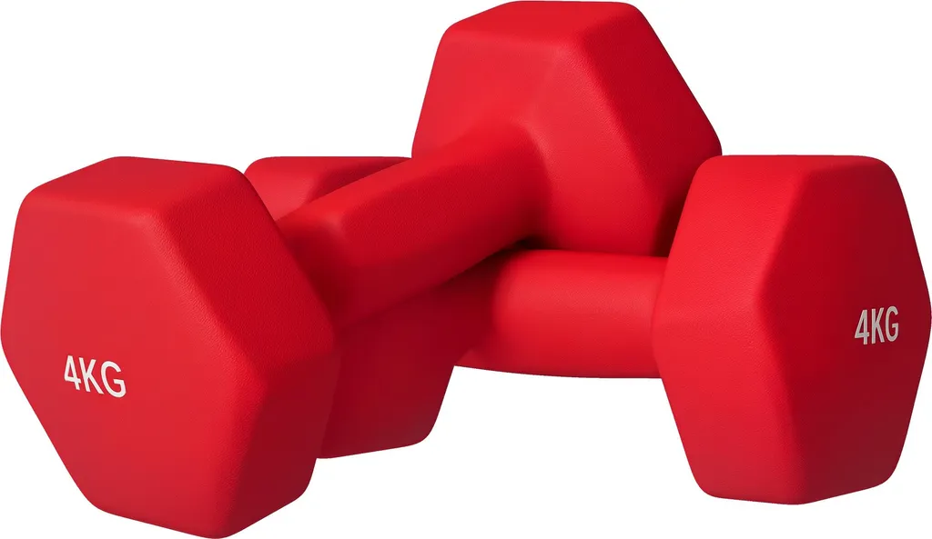 Haltères 2 x 4 kg pour Fitness à Domicile et Tonification Musculaire Gym