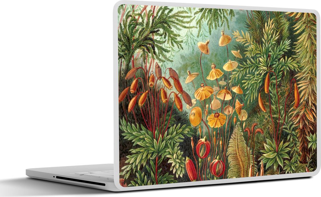 MuchoWow Laptop Aufkleber Sticker Cover Gestaltung - Natur - Pilze - Ernst Haeckel 36.5x27.5 cm - Laptop-Sticker