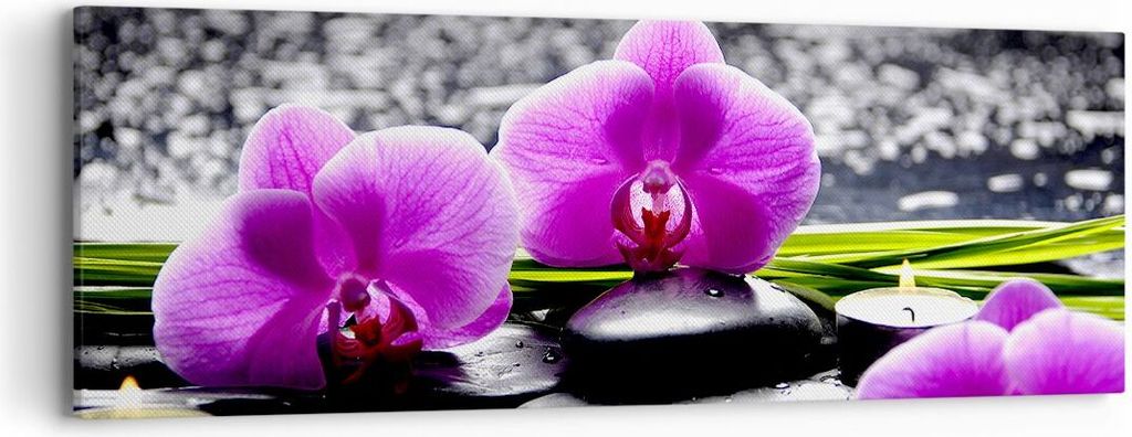 Bild auf Leinwand - Leinwandbild - Orchidee Natur Wasser Blume - 90x30cm - Wand Bild - Wanddeko - Leinwanddruck - Bilder - Kunstdruck - Wanddekorat...