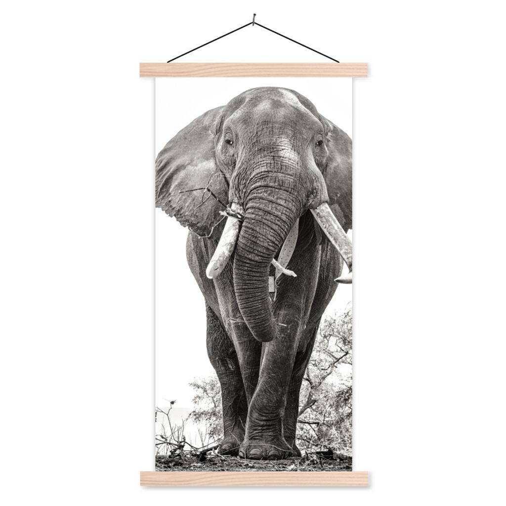 MuchoWow Textilposter Elefant - Porträt - Tiere - Schwarz und weiß 40x80 cm mit holzfarbenen Rahmen - Wohnzimmer