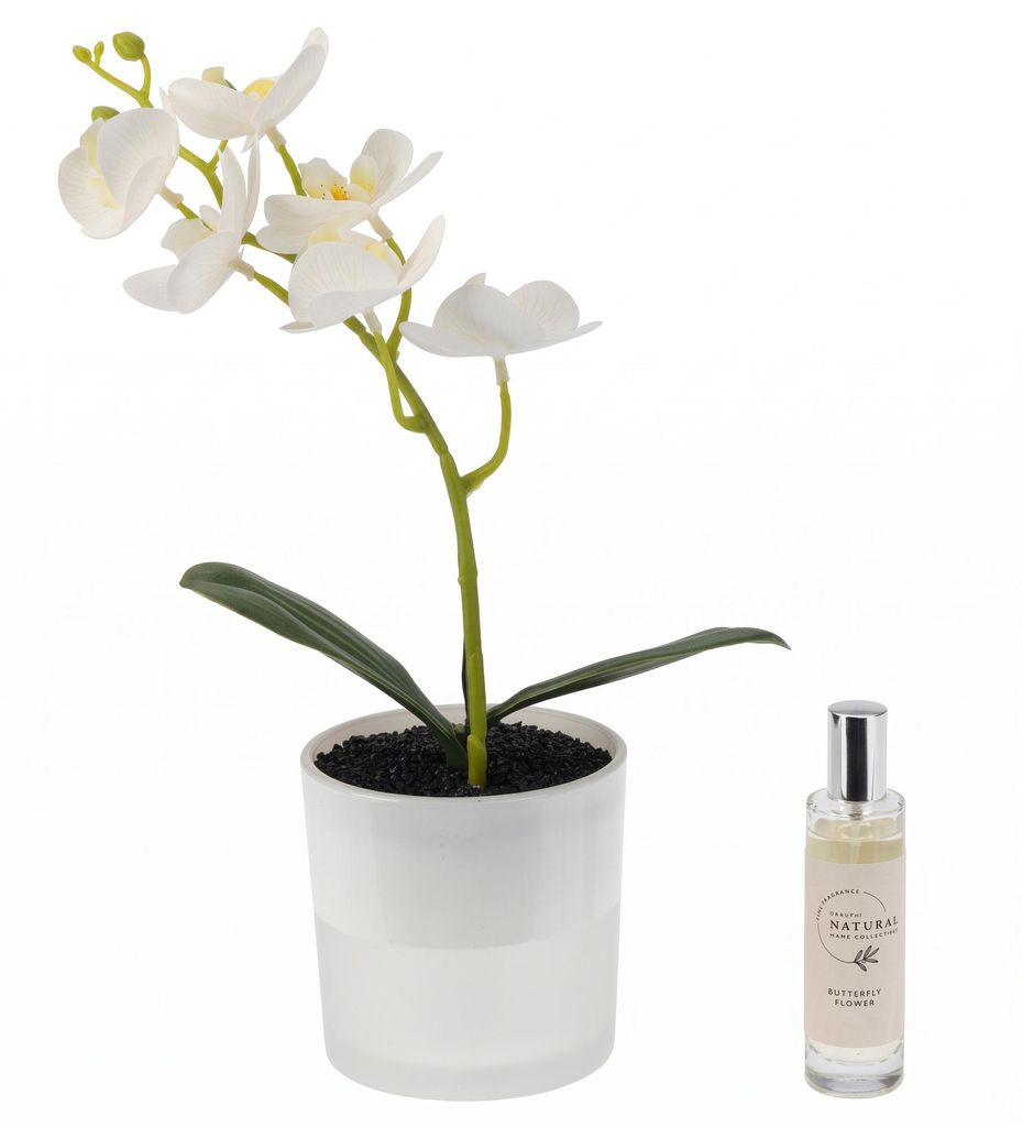 Künstliche Orchidee in einem Glas-Blumentopf mit LED und Produktbild 