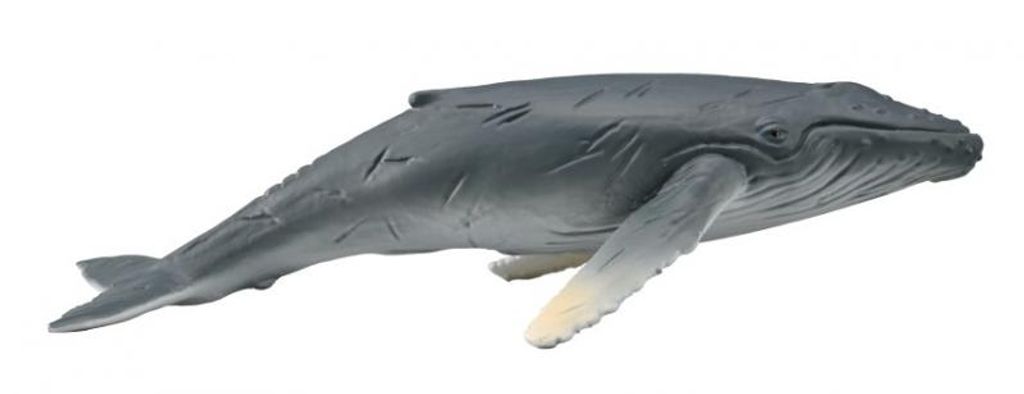 COLLECTA giovane megattera 88963 89634 Immagine del prodotto 