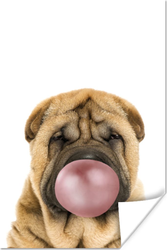 MuchoWow Poster Hund - Pusten - Kaugummi - Tiere - Spaß für Kinder - Hunde - Jungen - Mädchen 40x60 cm - Plakate für die Wand - Poster Babyzi...