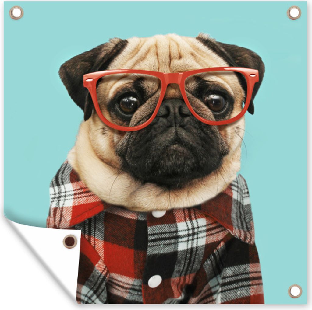 MuchoWow 100x100 cm Outdoor-Poster Gartendeko Sichtschutz Garten Poster für den Garten Hund - Hipster - Brille - Bluse