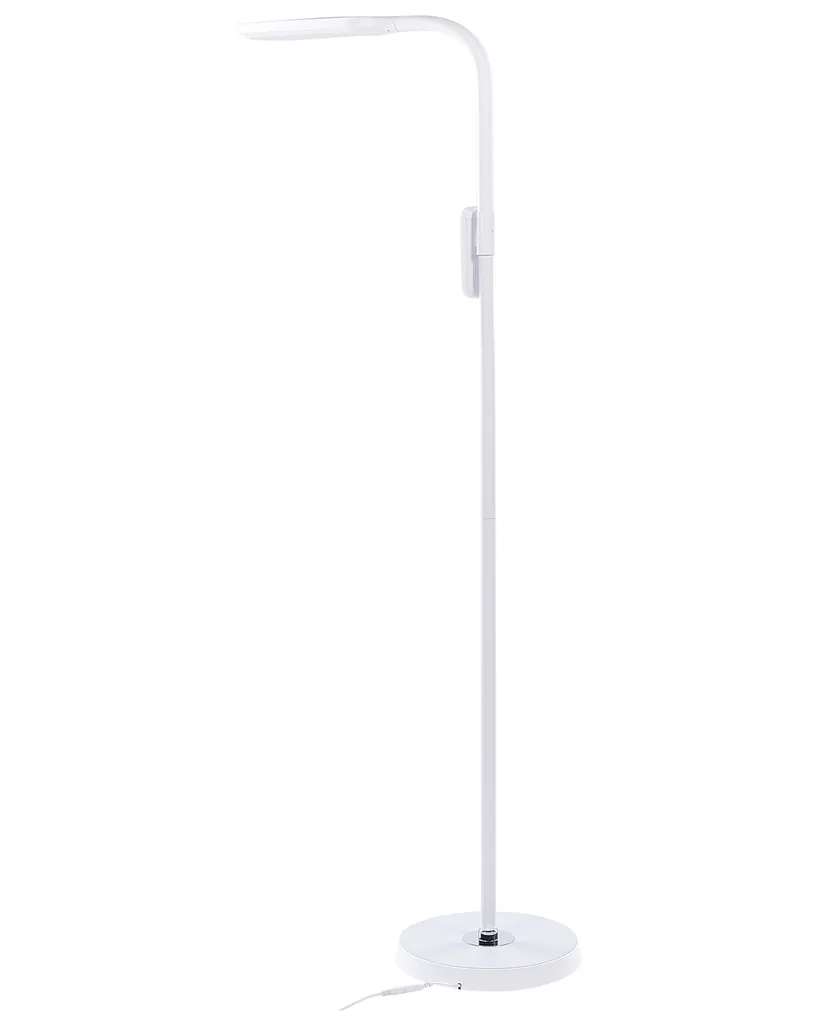 Lampadaire LED Dimmable 160 cm avec Télécommande et Éclairage Variable - 8
