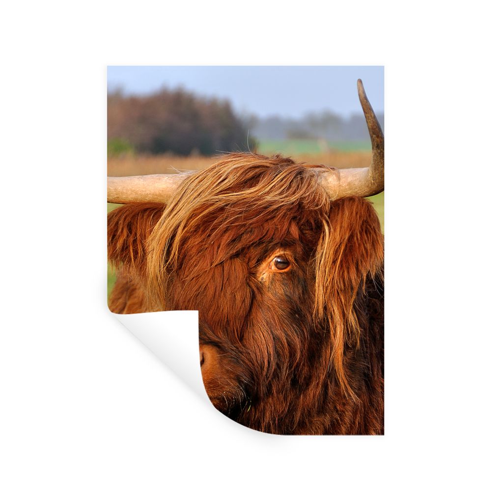 MuchoWow Wandtattoo Wandsticker Wandaufkleber Schottischer Highlander - Gras - Baum 30x40 cm Selbstklebend und Repositionierbar - Sticker - Dekor...