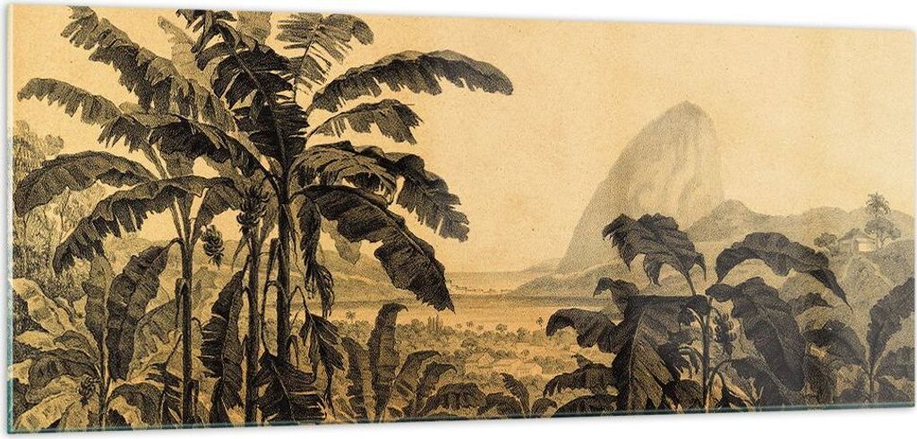 Bilder auf glas - Einteilig - Palmen Wald Regnerisch - 100x40cm - Glasbilder - Wandbilder - Bilder - zum Aufhängen bereit - Wanddekoration aus Gla...