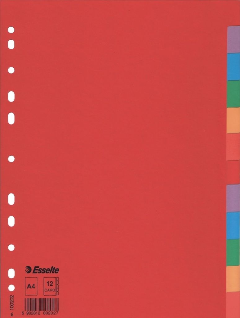 Esselte - Tabs Esselte Economy A4 12dlg Karton 11r ASS | 1 Set | 10 Stück