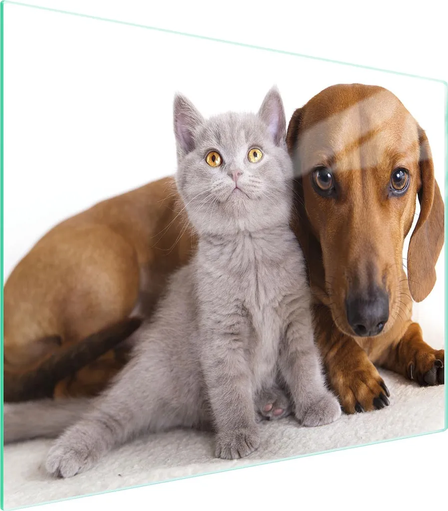 Tagliere Vetro Professionale 52x40 Animali - Igiene Garantita