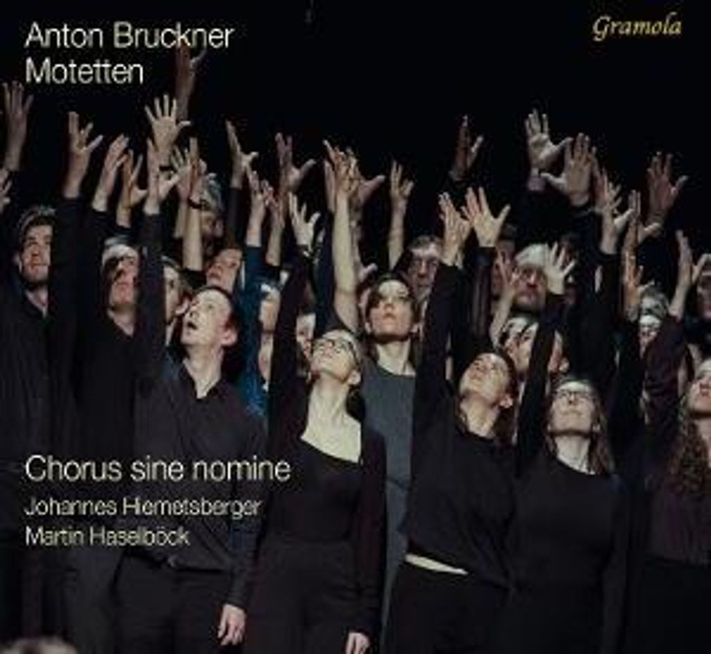 Chorus Sine Nomine/Haselböck, M: Bruckner: Motetten