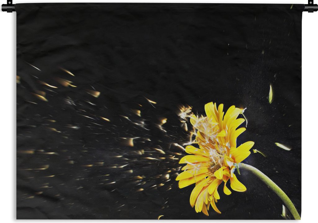 MuchoWow Wandteppich Wandbehang Eine orangefarbene Gerbera-Blüte auf schwarzem Hintergrund abgebildet 90x67.5 cm Tapisserie Dekoration Wandtuch ...