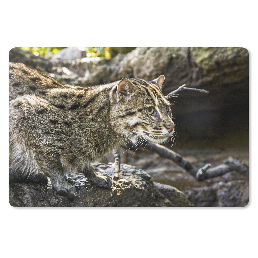 MuchoWow Schreibtischunterlage Ozelot - Wasser - Stein 60x40 cm - XXL Mauspad - Großes Mauspad