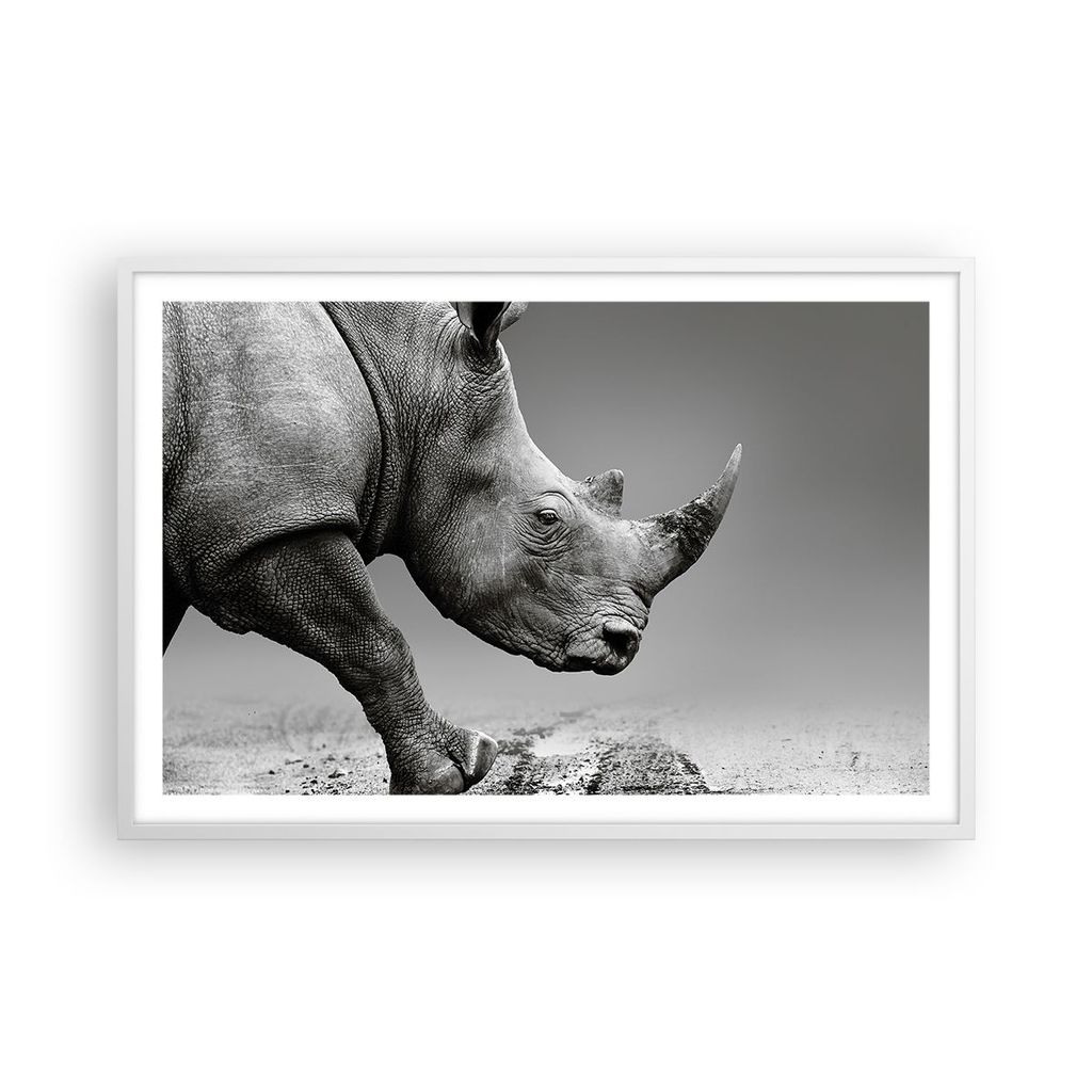 Gerahmtes Poster - Weißer Rahmen - Nashorn Monochrom Tier - 91,5x61 cm - Wand Bild - Wanddeko - Wandbilder - Kunstposter - Wandposter - Bilderrahm...