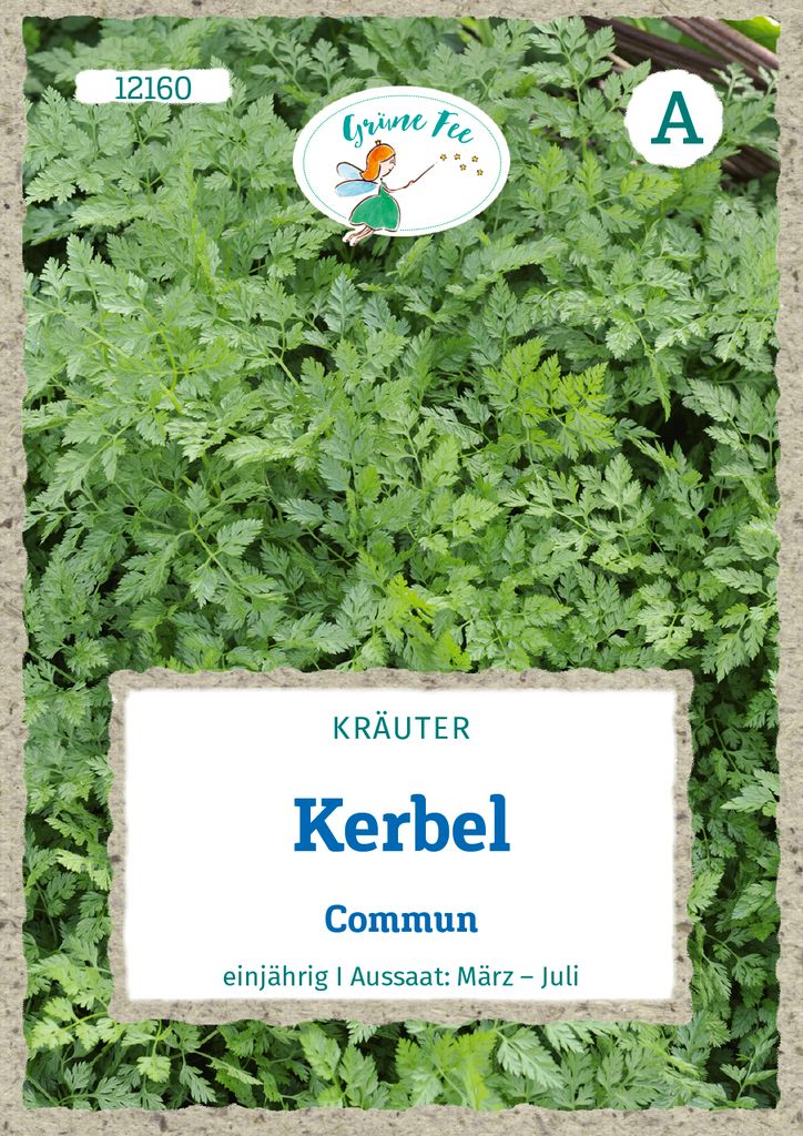 Grüne Fee - Kerbel Commun Samen - 12160 Produktbild 