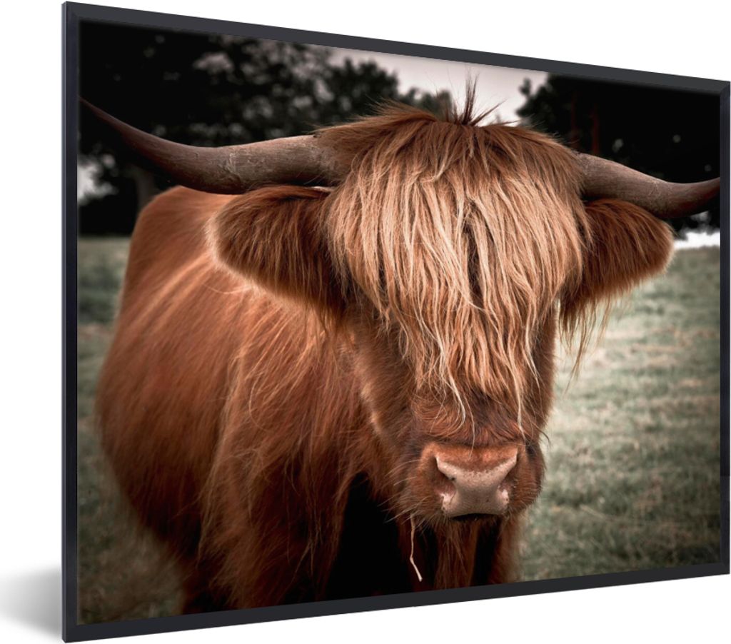 MuchoWow Gerahmtes Poster Schottischer Highlander - Baum - Gras 80x60 cm - Poster mit Schwarzem Bilderrahmen Wandposter Rahmen Foto Bilder - Schw...