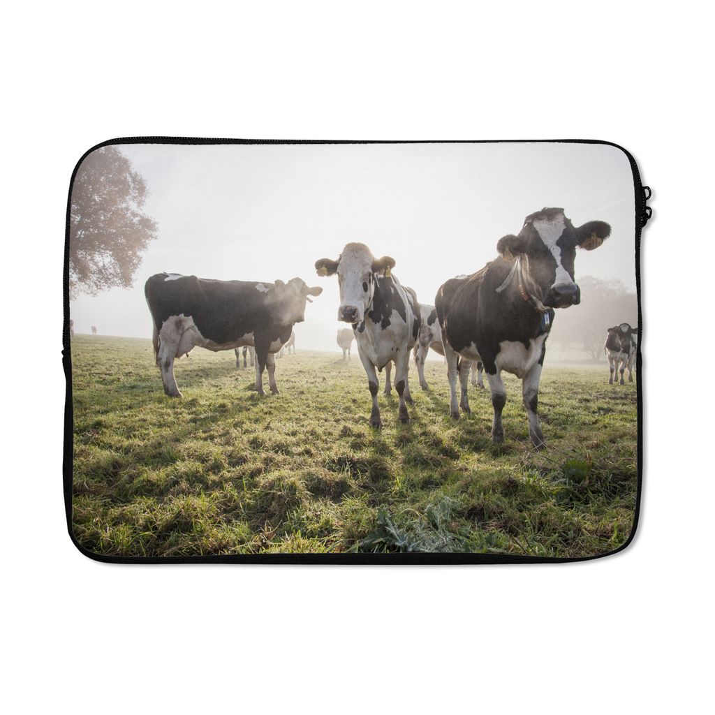 MuchoWow Laptop Hülle 14 ZollKühe - Licht - Gras - Tiere Laptoptasche - Laptoptasche - Stoßsicher - Schutzhaube