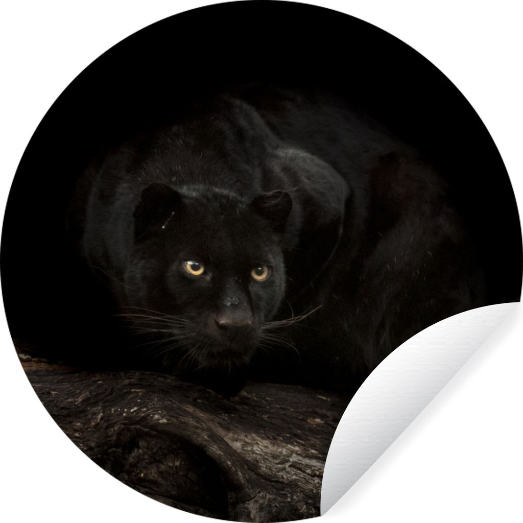 MuchoWow Runde Wandtattoo - Wandsticker Tapete Aufkleber Panther - Kofferraum - Schwarz Ø 30 cm Selbstklebend und Repositionierbar - Wandaufkleb...