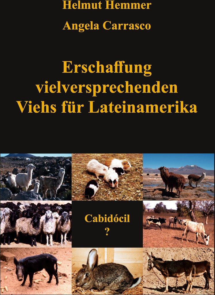 Erschaffung vielversprechenden Viehs für Lateinamerika