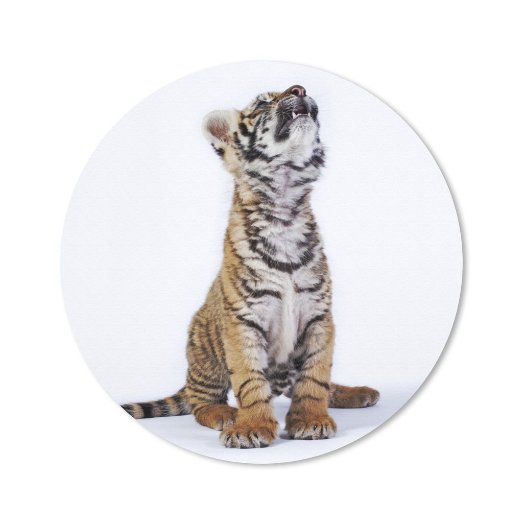 MuchoWow Mauspad Mousepad Tiger - Jungtier - Weiß 20x20 cm - Mousepads - Maus Mat - Pad - Mausunterlage - Schreibtischmatte