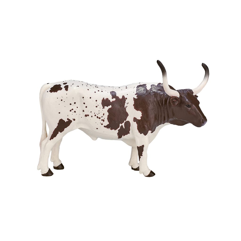 Animal Planet: Texas Longhorn-rund Productafbeelding 