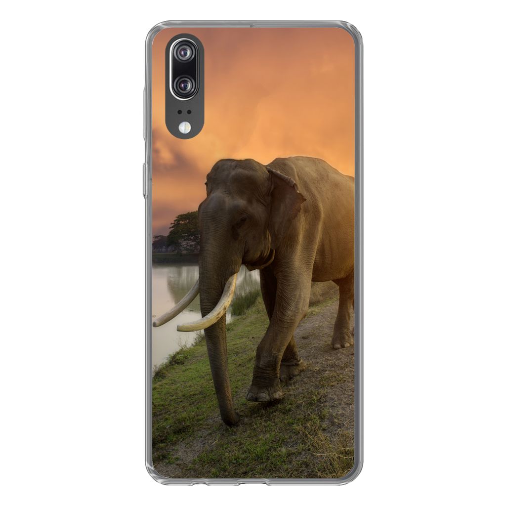 MuchoWow Handyhülle Schutzhülle Hülle für Huawei P20 Elefant - Wasser - Tiere - Sonnenuntergang - Natur Silikon Softcase Handy Hülle - Hardc...