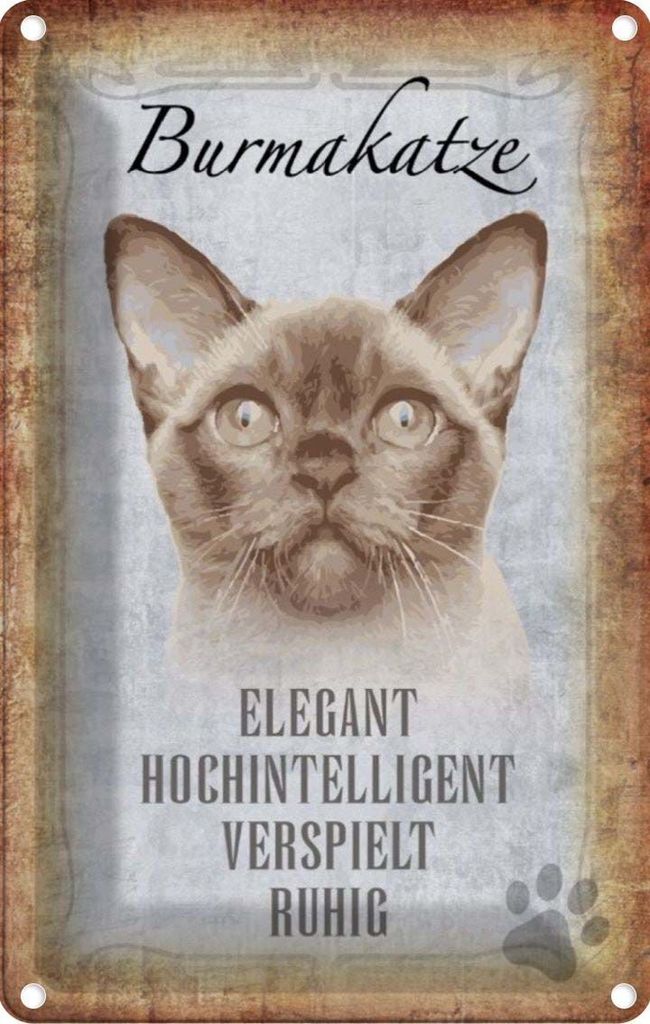 vianmo Blechschild 30x20 cm Burmakatze Katze Tier Haustier