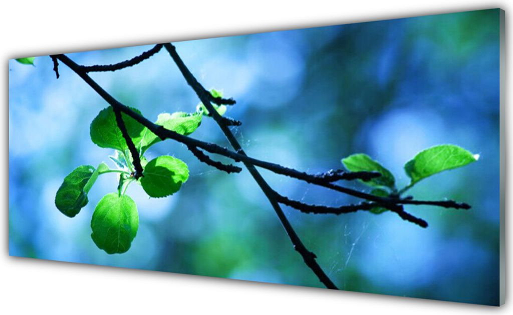 Küchenrückwand aus Glas 125x50cm Spritzschutz Zweig Blätter Pflanzen