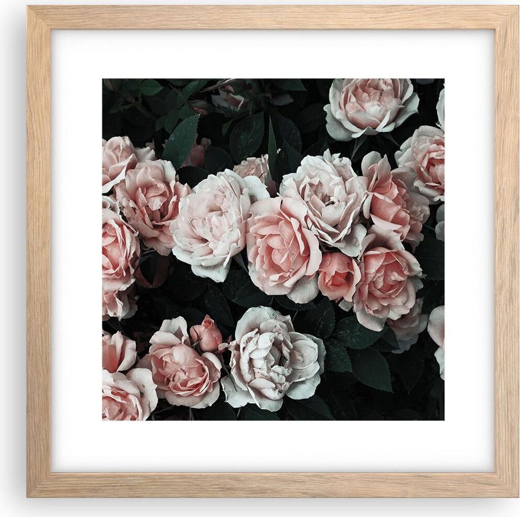 Gerahmtes Poster - Rahmen in heller Eiche - Rosen Blumen Blätter - 30x30 cm - Wand Bild - Wanddeko - Wandbilder - Kunstposter - Wandposter - Bilde...