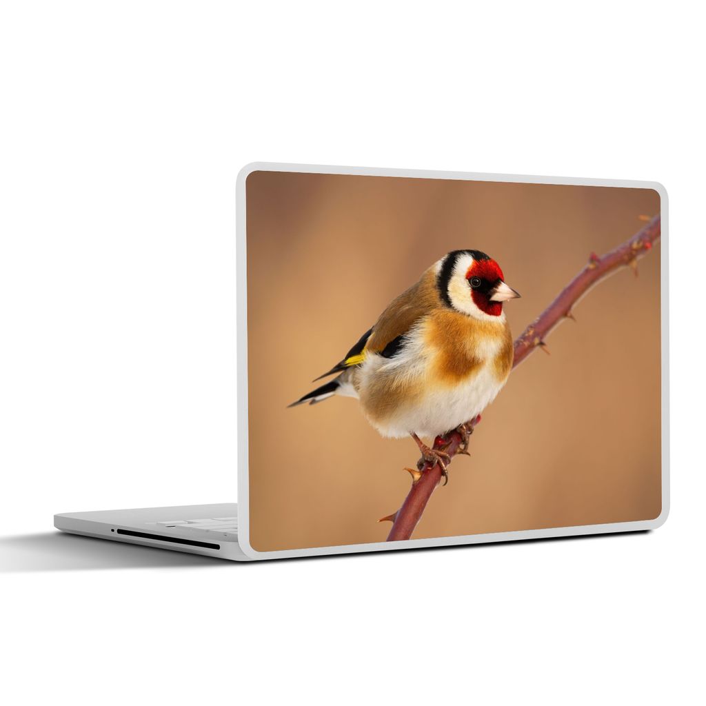 MuchoWow Laptop Aufkleber Sticker Cover Kropftaube - Vogel - Tiere 32.5x23.5 cm - Sticker für Laptop - Selbstklebend
