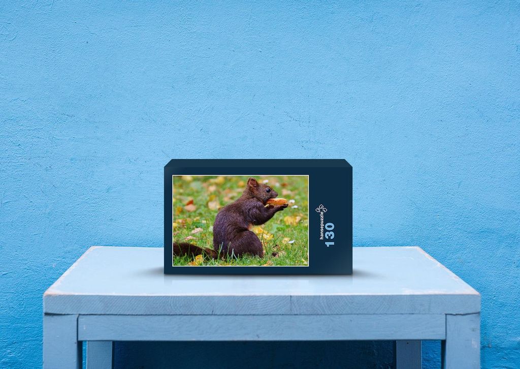 hansepuzzle 33496 - Eichhörnchen Puzzle, 130 Teile, Natur, 28,7 x 20,0cm mit hochwertiger Aufbewahrung, Kartonbox und wiederverschließbarem Beutel