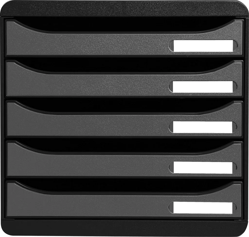 Exacompta 309738D Big Box Plus 5 Cassetti: Organizzazione Office Pro