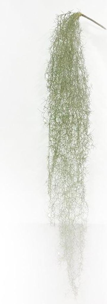 artplants.de Kunstpflanzee Tillandsia usneoides BRAVIK, Steckstab, schwer brennbar, grau, 150cm - Künstliche Sukkulente