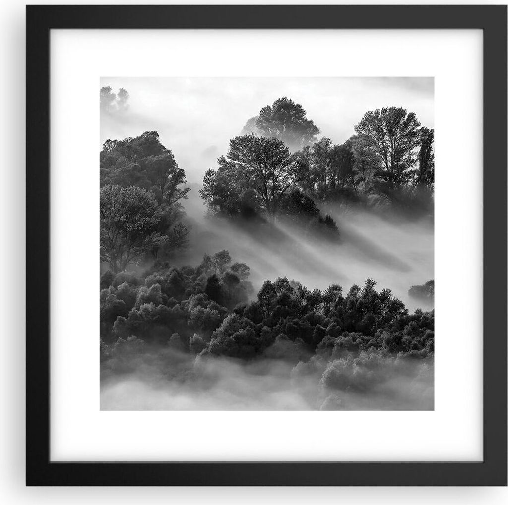 Gerahmtes Poster - Schwarzer Rahmen - Schwarzweiß Bäume Nebel - 30x30 cm - Wand Bild - Wanddeko - Wandbilder - Kunstposter - Wandposter - Bilderr...