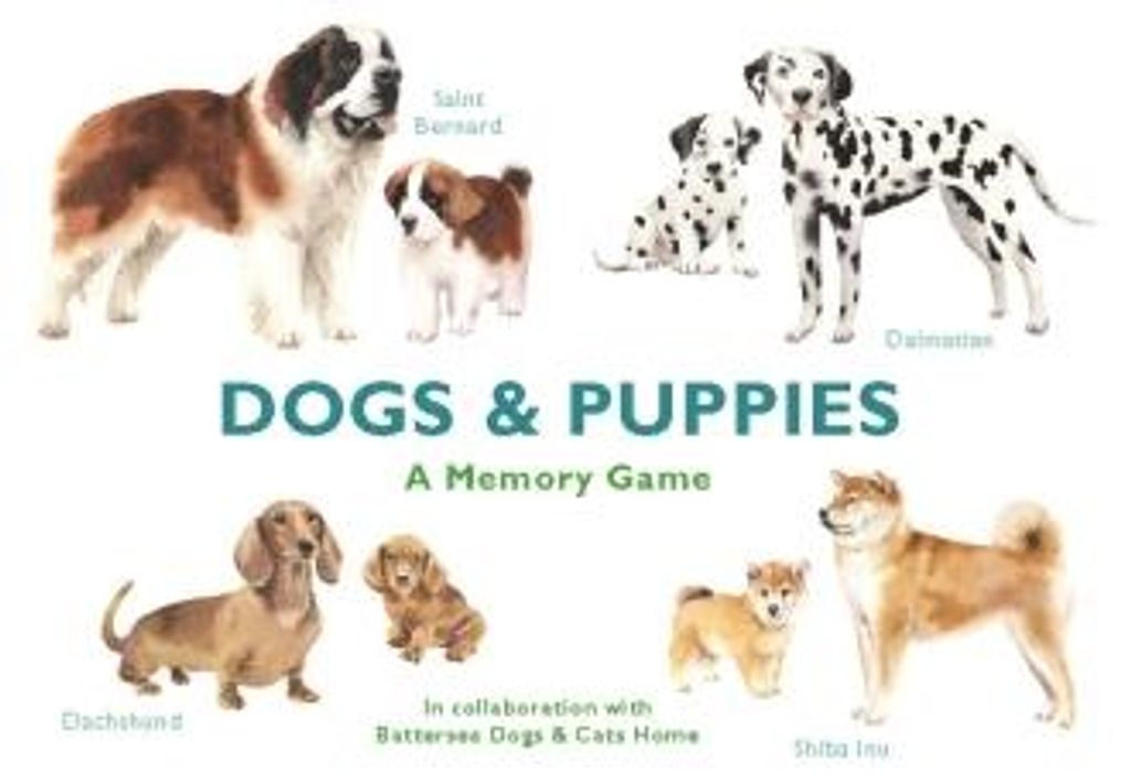 Dogs & Puppies