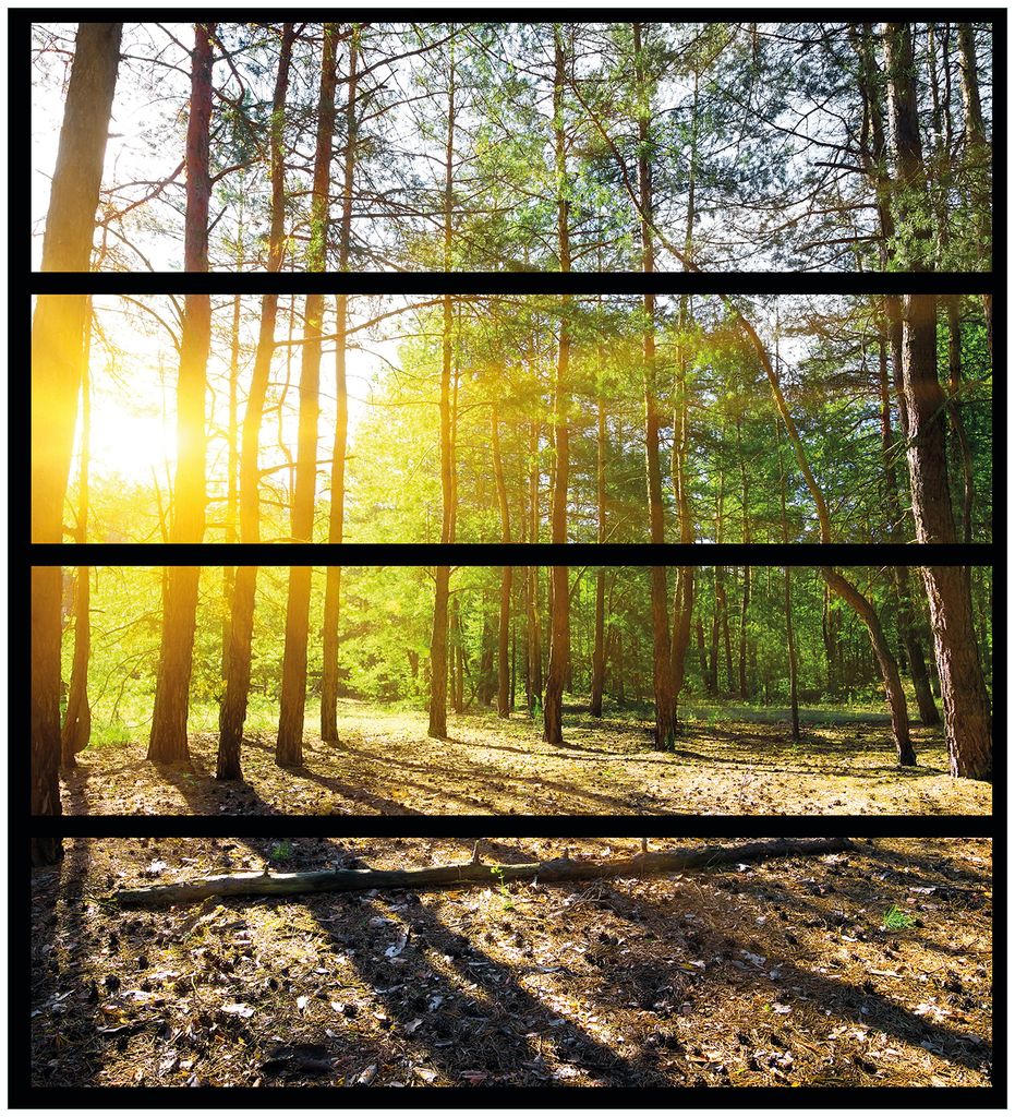 Wallario Möbelfolie / Aufkleber, geeignet für Ikea Malm Kommode mit 4 Schubfächern - Sonnenstrahlen tief hinter dem Wald