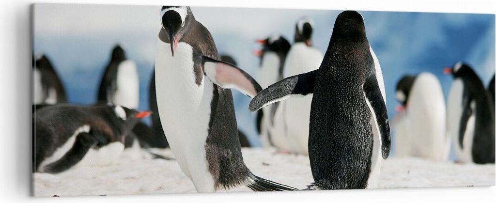 Bild auf Leinwand - Leinwandbild - Pinguine Winter Natur Schnee - 140x50cm - Wand Bild - Wanddeko - Leinwanddruck - Bilder - Kunstdruck - Wanddekor...