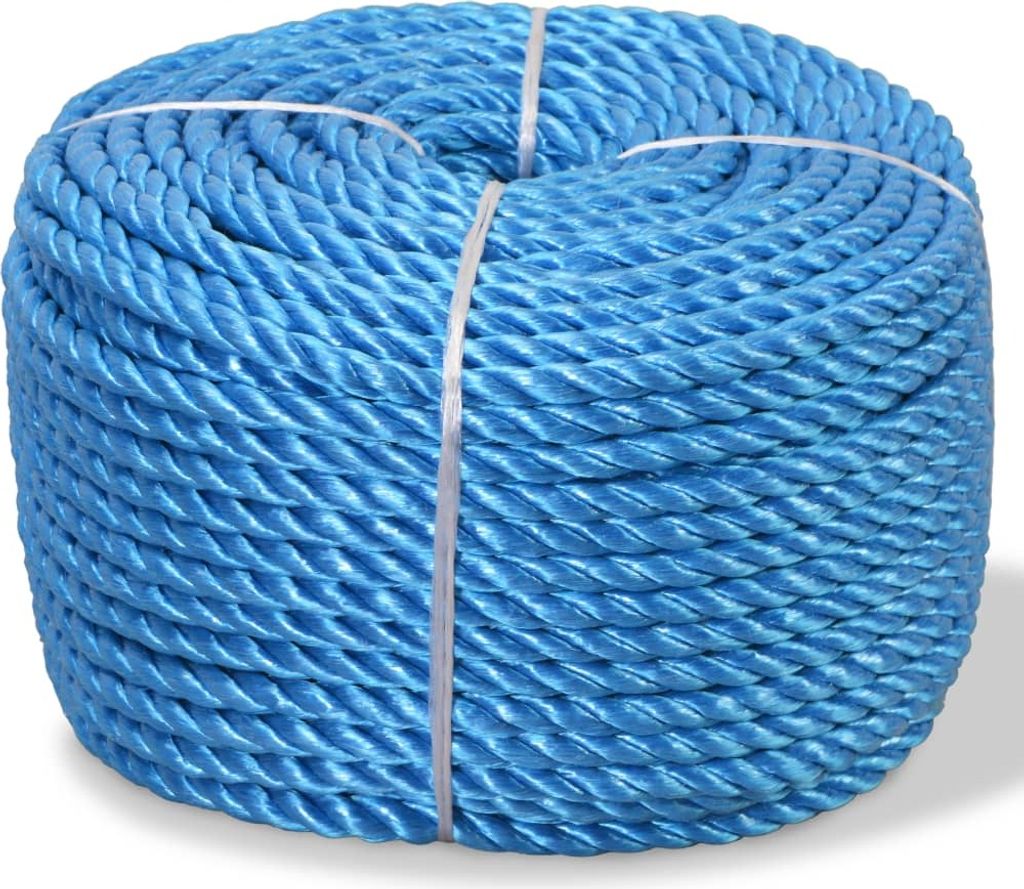The Living Store Polypropylenseil 12 mm 100 m Blau