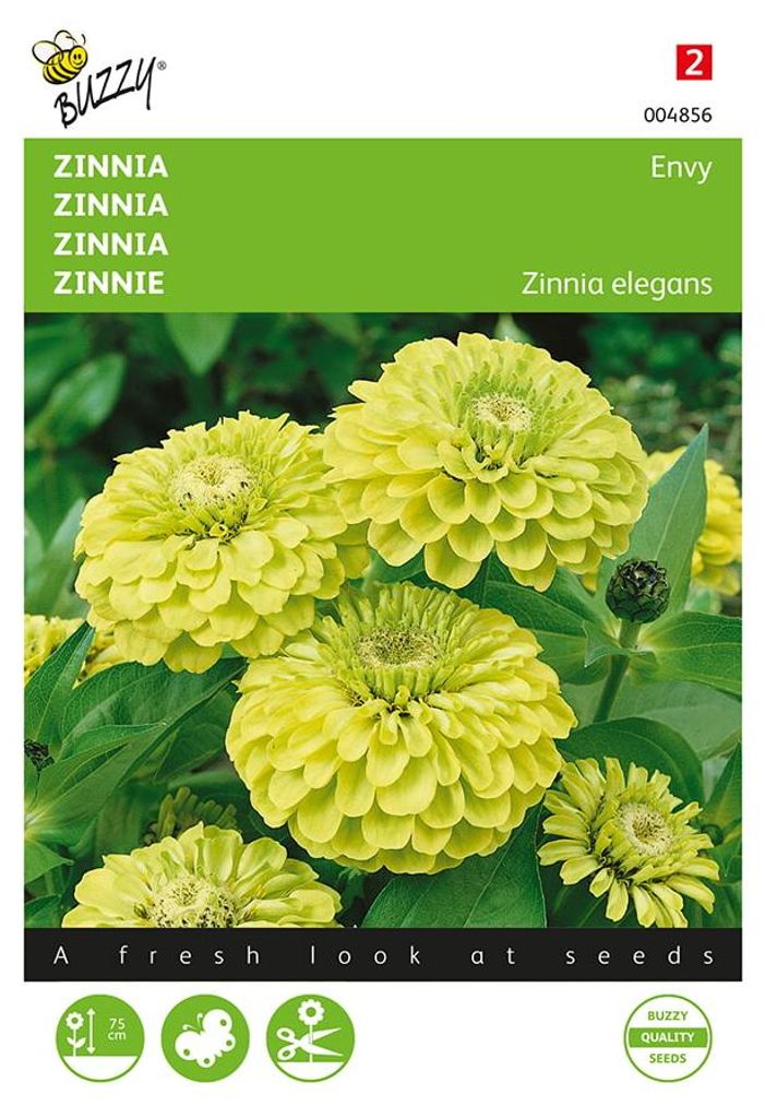 Zinnie Envy | Zinniensamen von Buzzy Seeds